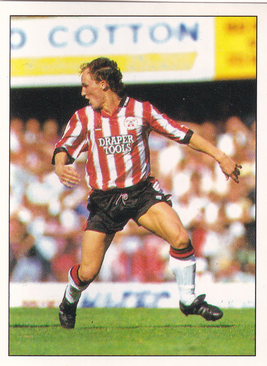 132. DAVID LEE - SOUTHAMPTON