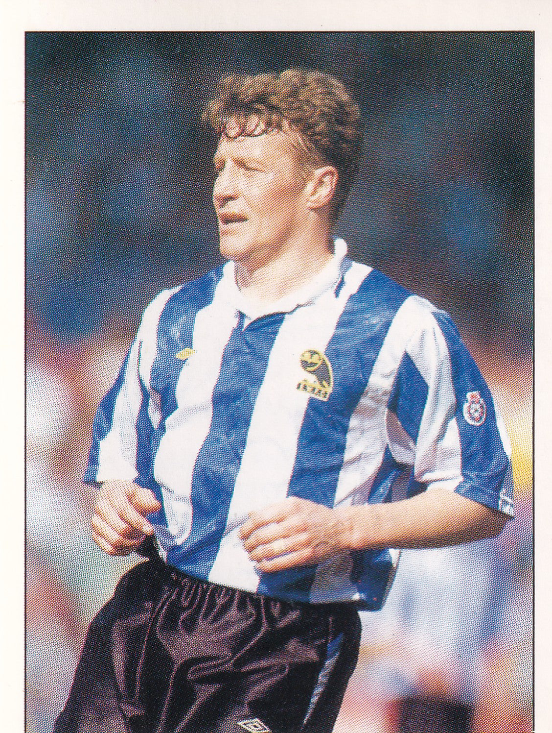 123. DANNY WILSON - SHEFFIELD WEDNESDAY