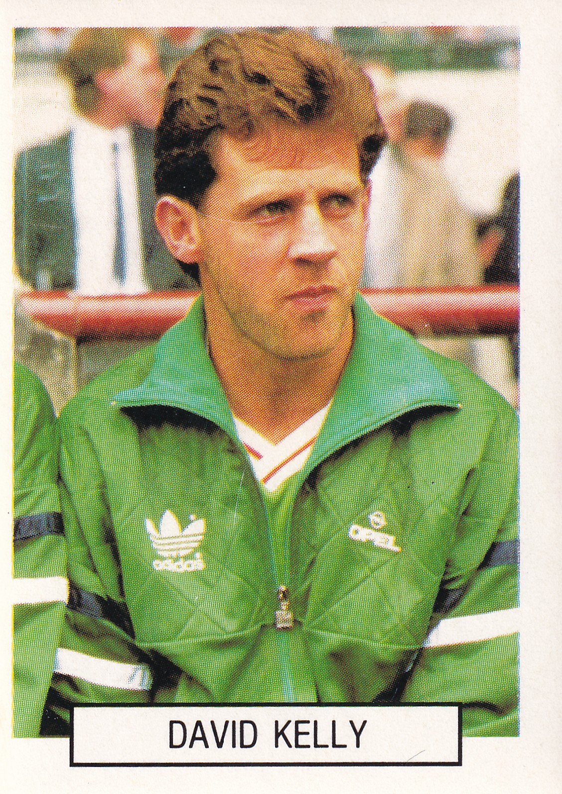 397. DAVID KELLY - EIRE