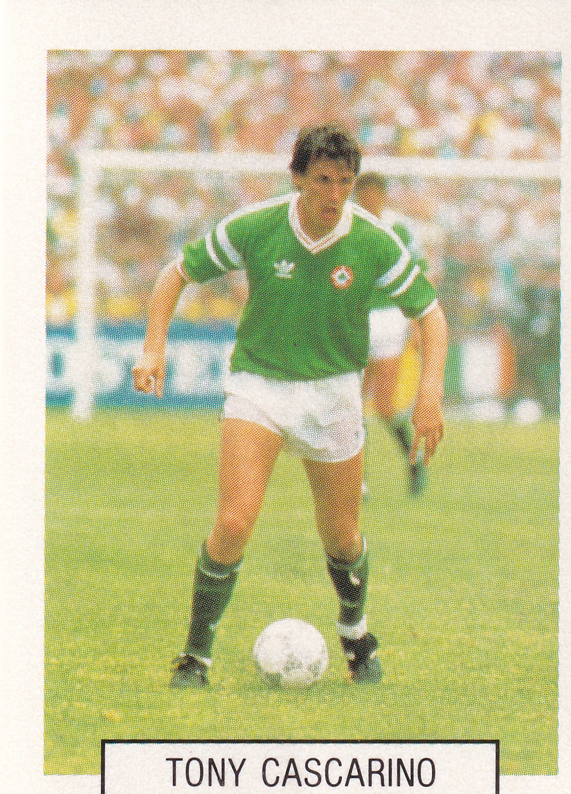 398. TONY CASCARINO - EIRE