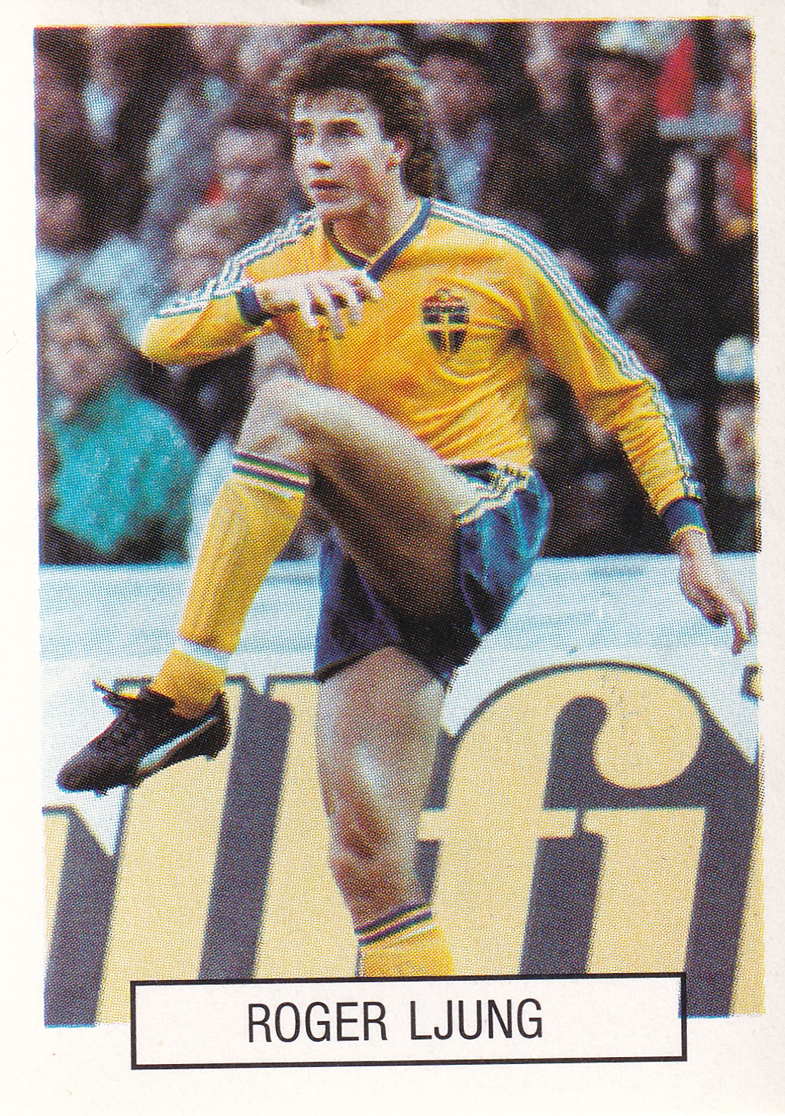 167. ROGER LJUNG - SVERIGE