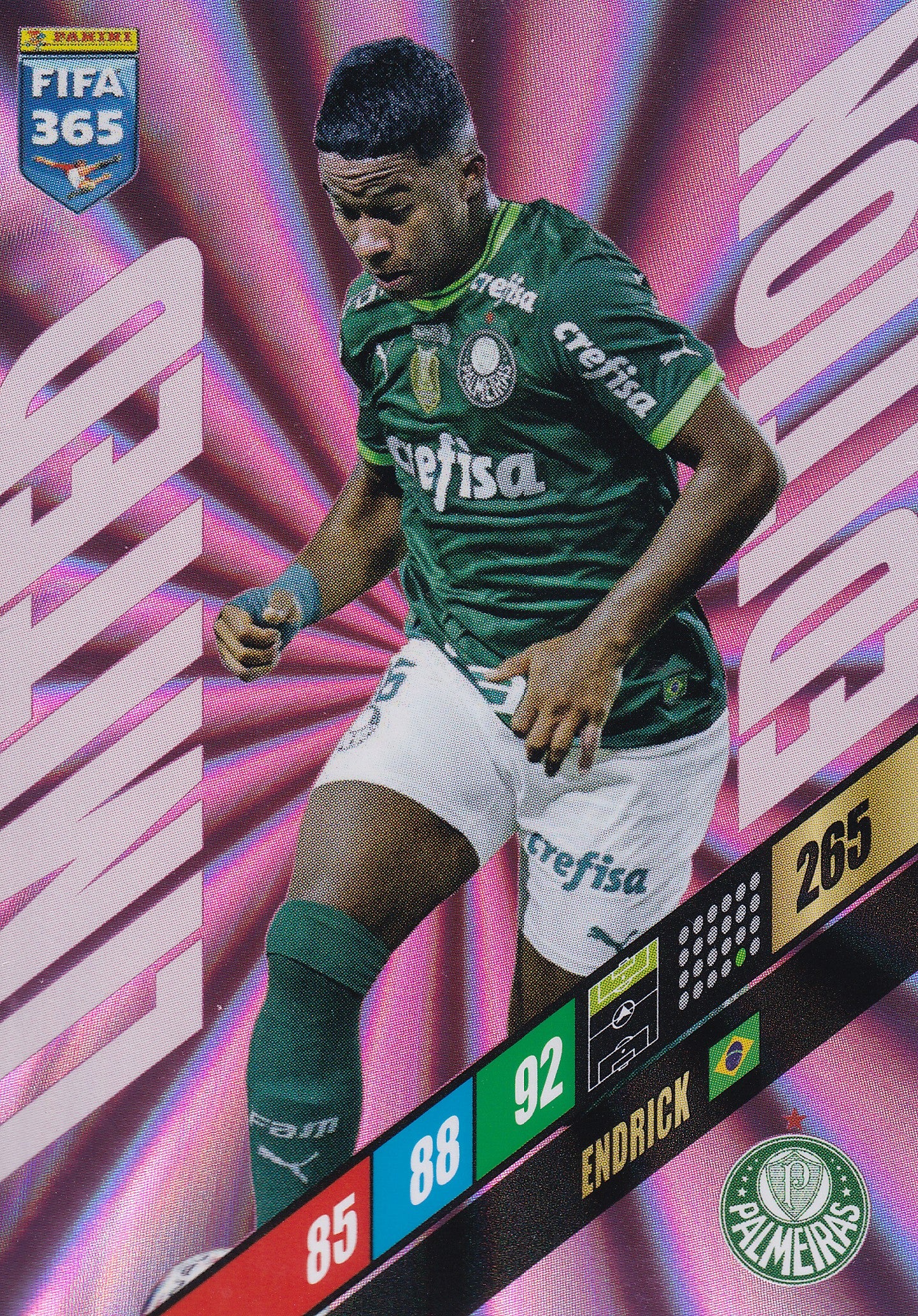 LE - ENDRICK - PALMEIRAS - LIMITED EDITION