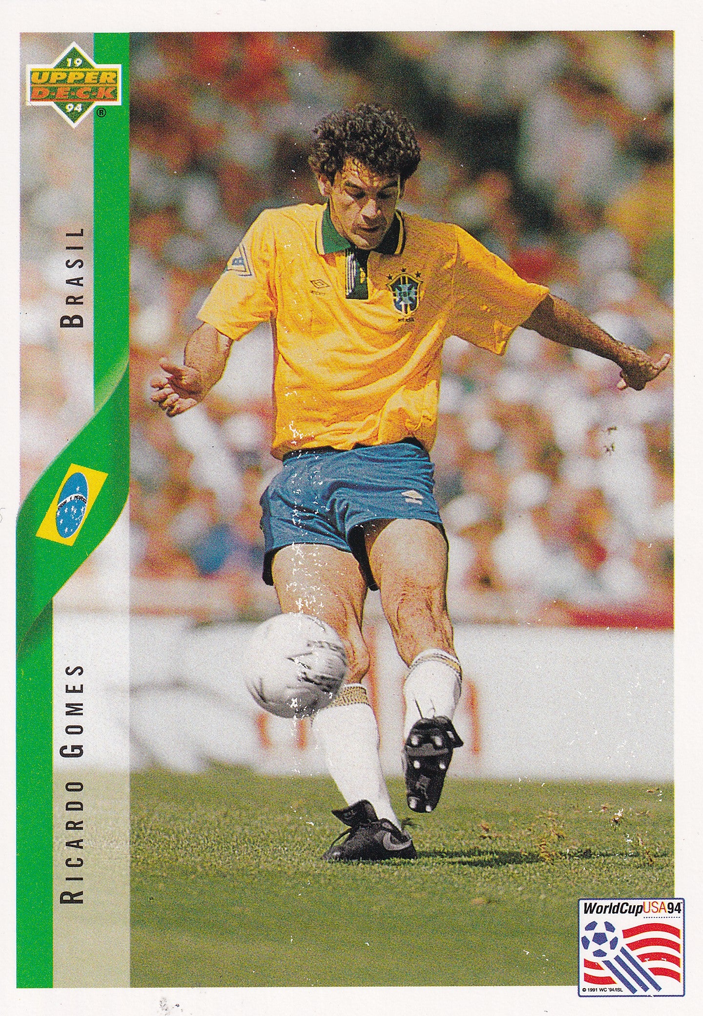 053. RICARDO GOMES - BRASIL