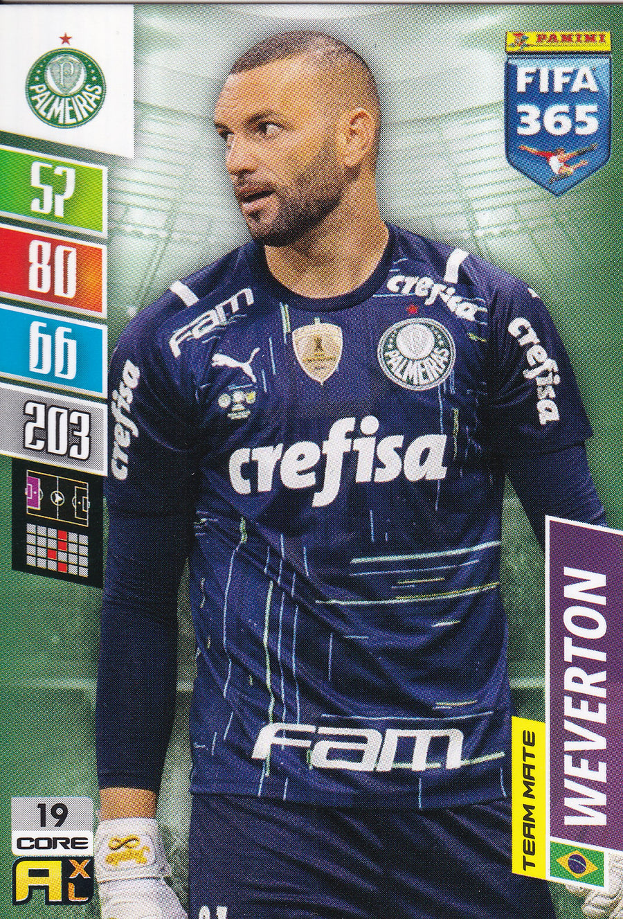 019. WEVERTON - PALMEIRAS