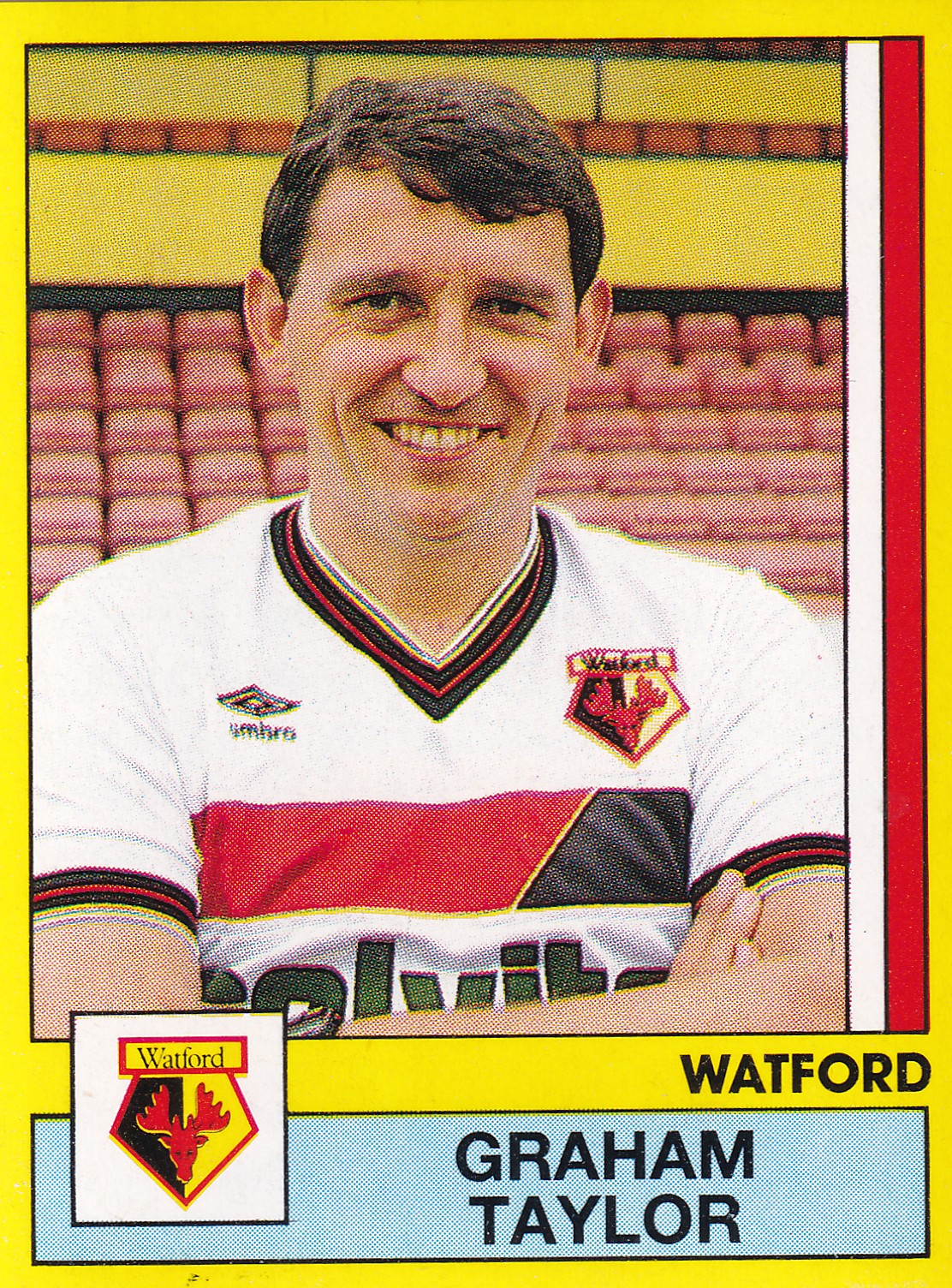 344. GRAHAM TAYLOR - WATFORD