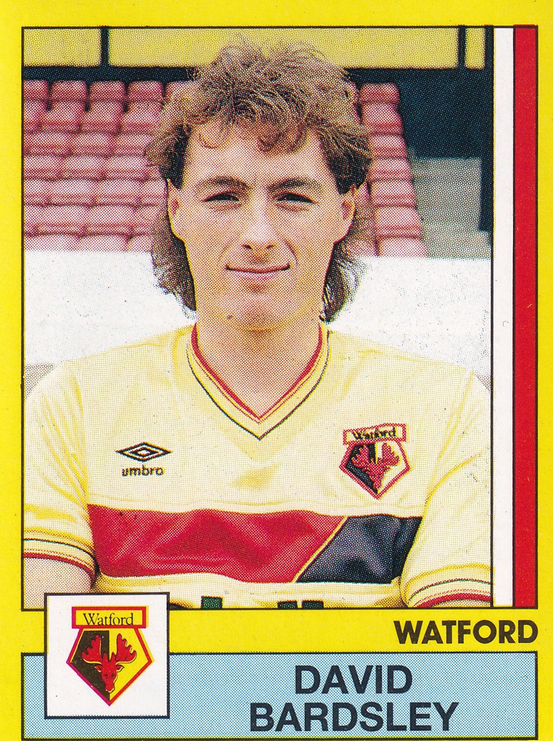 350. DAVID BARDSLEY - WATFORD