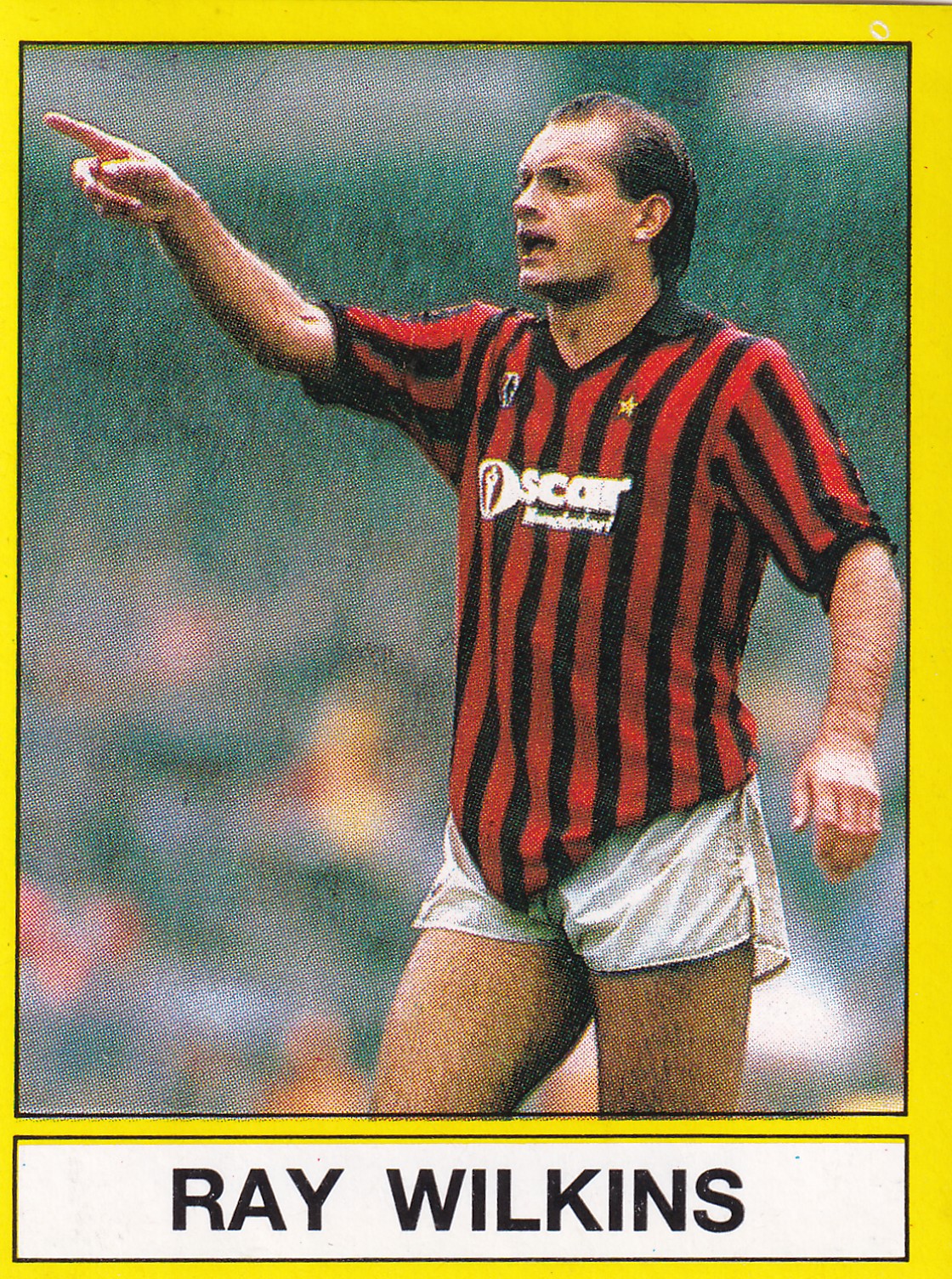 453. RAY WILKINS