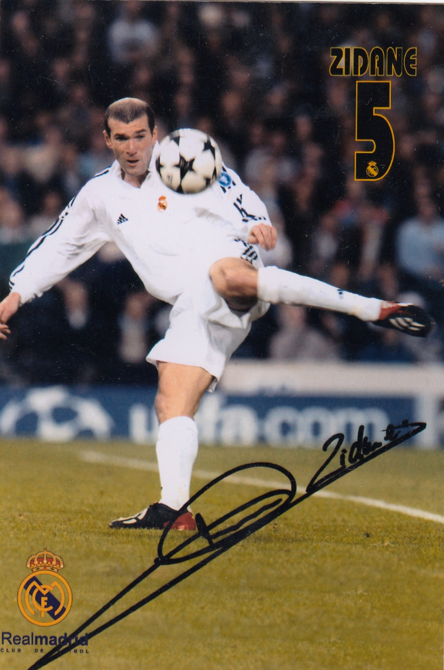 ZINEDINE ZIDANE - REAL MADRID - SIGNATURE PICTURE