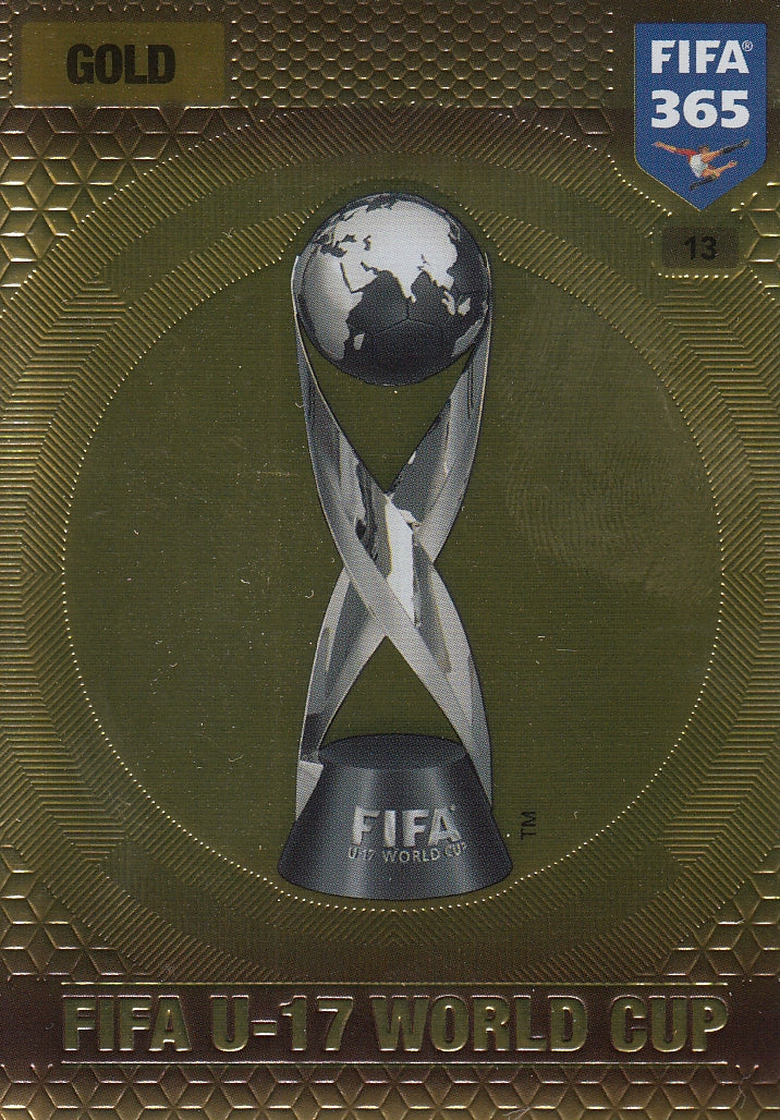 013. FIFA U-17 WORLD CUP - GOLD