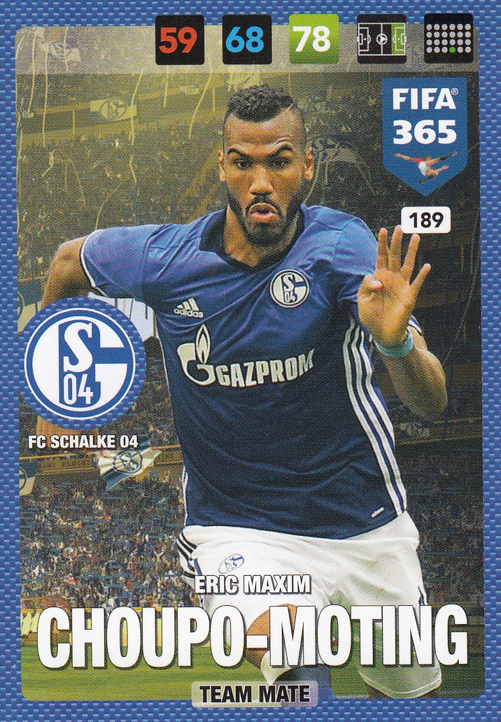 189. ERIC MAXIM CHOUPO-MOTING - TEAM MATE