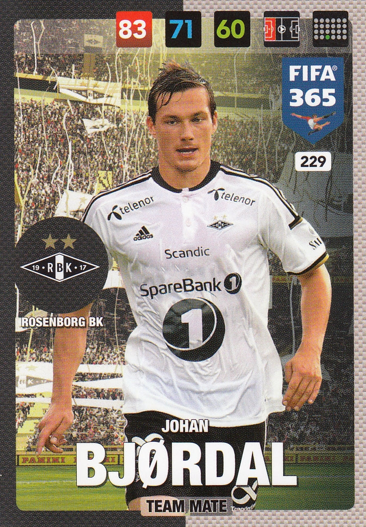 229. JOHAN BJØRDAL - ROSENBORG BK - TEAM MATE