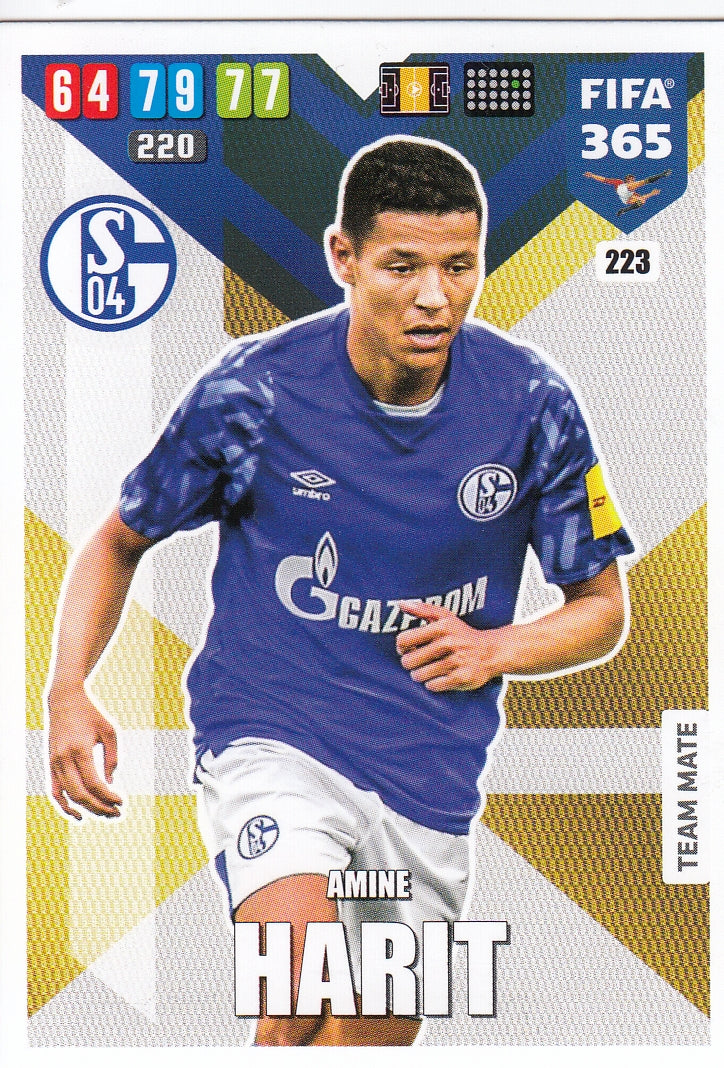 223. AMINE HARIT - SCHALKE 04 - TEAM MATE
