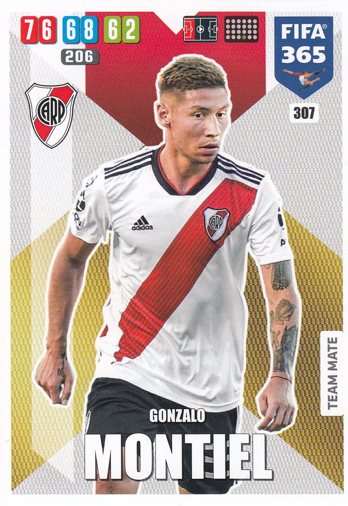 307. GONZALO MONTIEL - RIVER PLATE - TEAM MATE