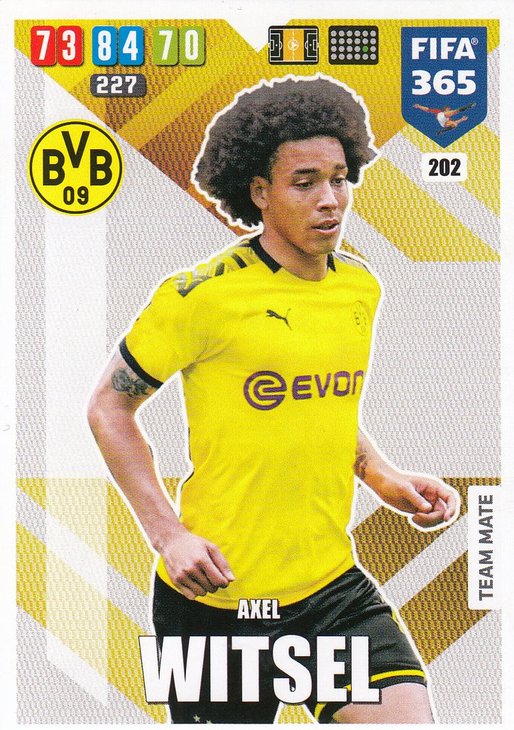 202. AXEL WITSEL - BORUSSIA DORTMUND - TEAM MATE
