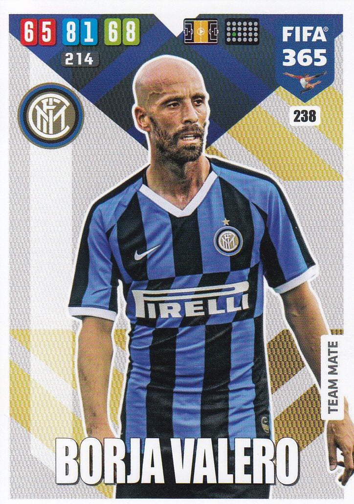 238. BORJA VALERO - INTER - TEAM MATE