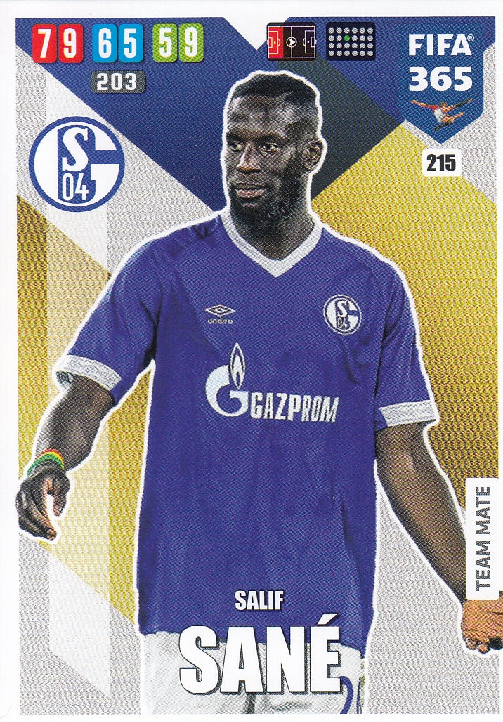 215. SALIF SANE - SCHALKE 04 - TEAM MATE