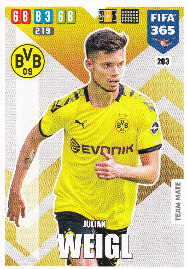 203. JULIAN WEIGL - BORUSSIA DORTMUND - TEAM MATE