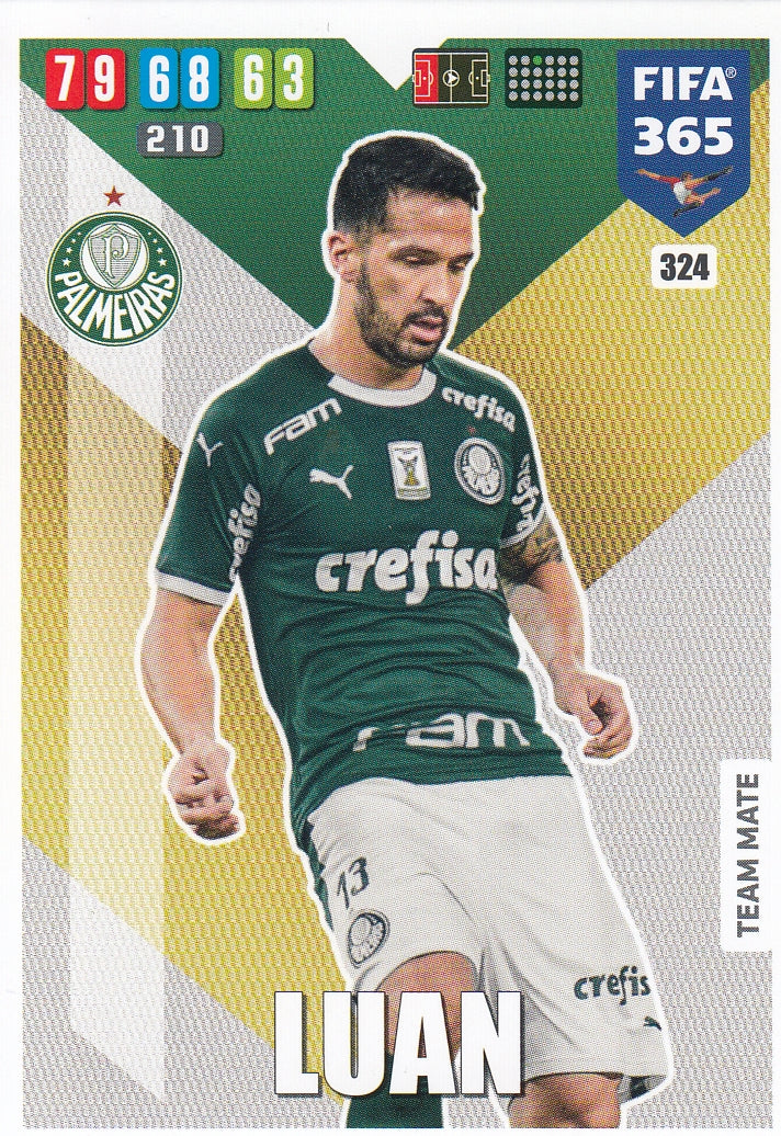 324. LUAN - PALMEIRAS - TEAM MATE
