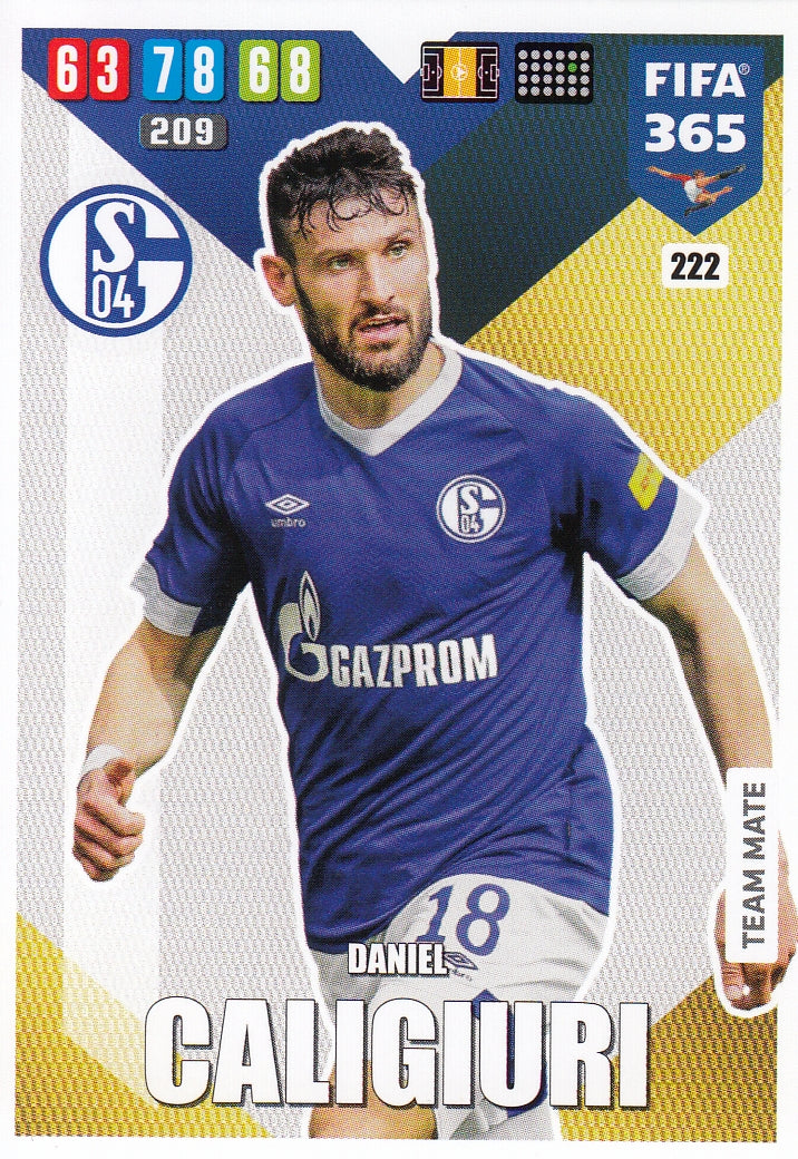 222. DANIEL CALIGIURI - SCHALKE 04 - TEAM MATE