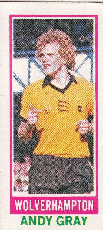 073. ANDY GRAY - WOLVERHAMPTON