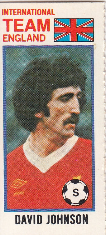 109. DAVID JOHNSON - ENGLAND - INTERNATIONAL TEAM