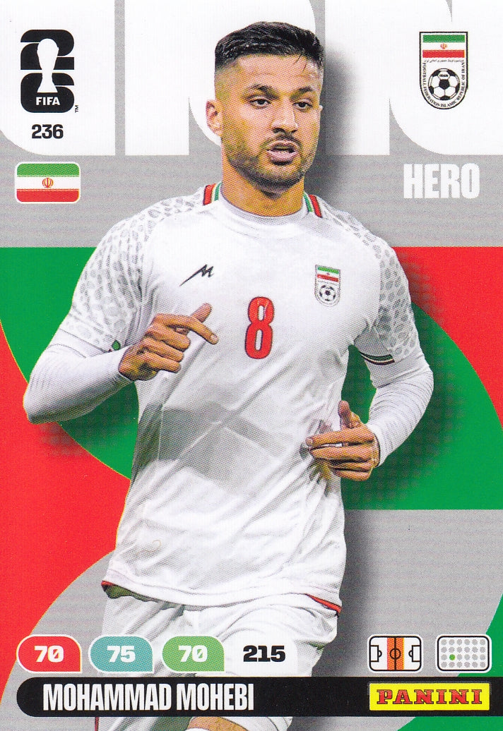 236. MOHAMMAD MOHEBI - IRAN