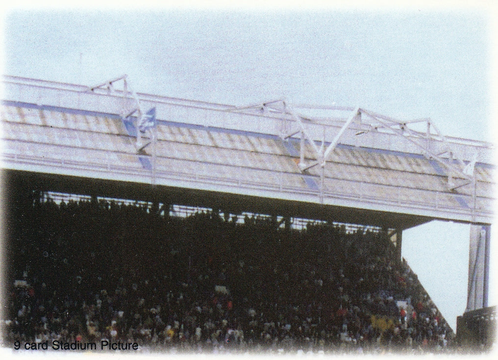 085. CHELSEA FUTERA FANS SELECTION 1998