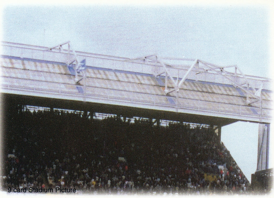 085. CHELSEA FUTERA FANS SELECTION 1998