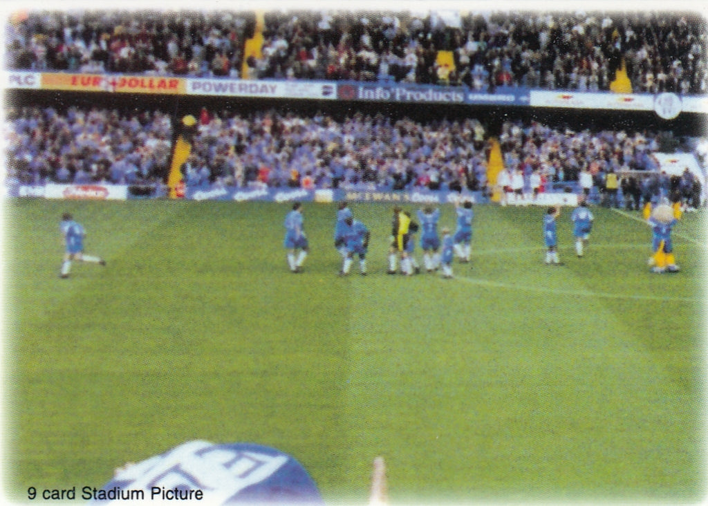 089. CHELSEA FUTERA FANS SELECTION 1998