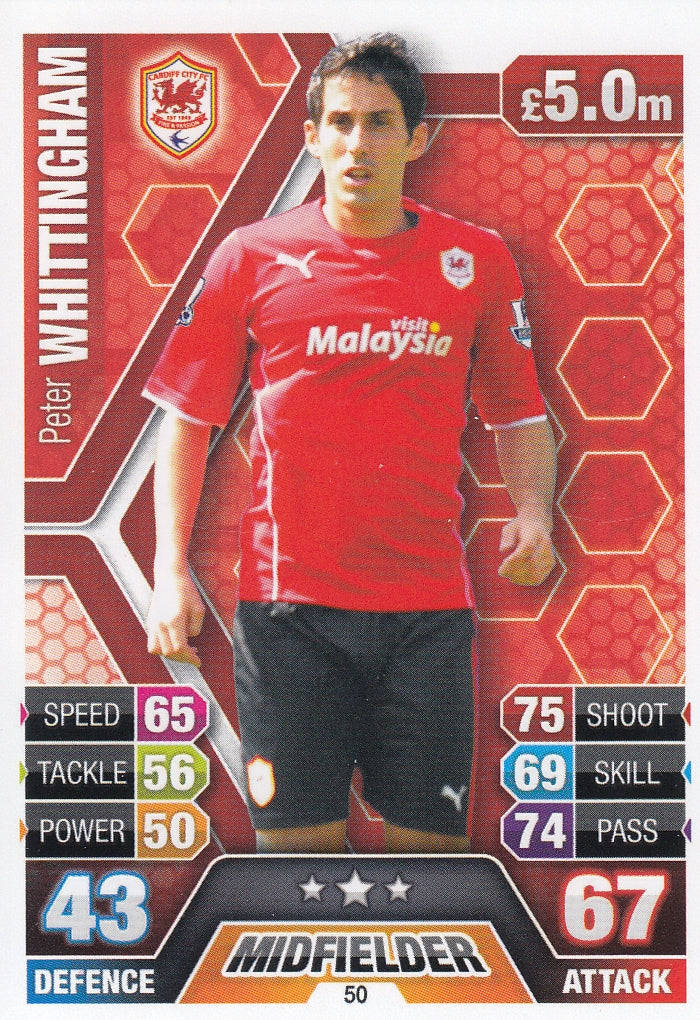 050. PETER WHITTINGHAM - CARDIFF CITY