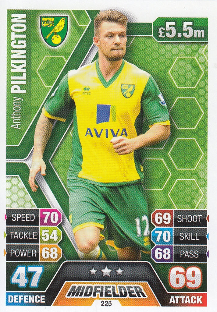 225. ANTHONY PILKINGTON - NORWICH CITY