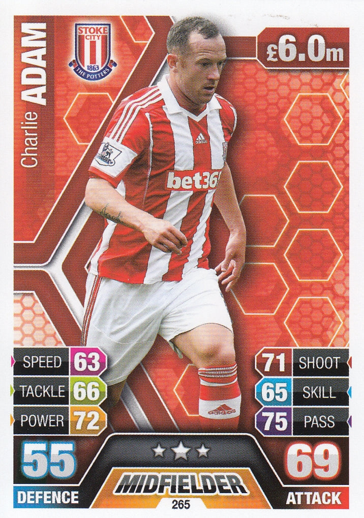 265. CHARLIE ADAM - STOKE CITY