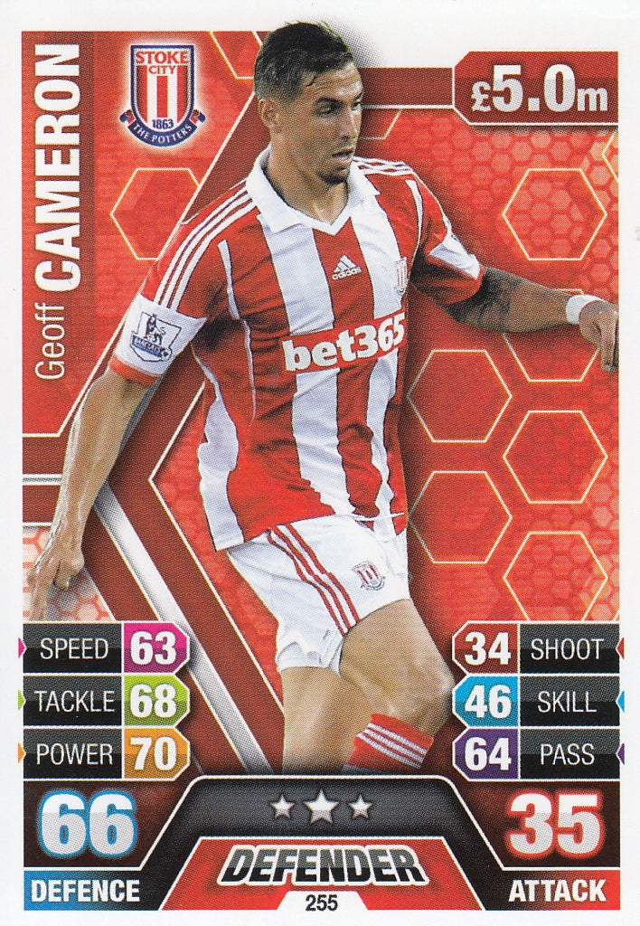 255. GEOFF CAMERON - STOKE CITY