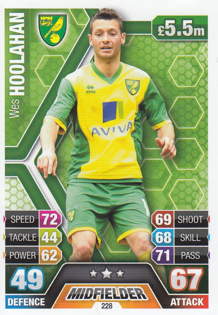 228. WES HOOLAHAN - NORWICH CITY