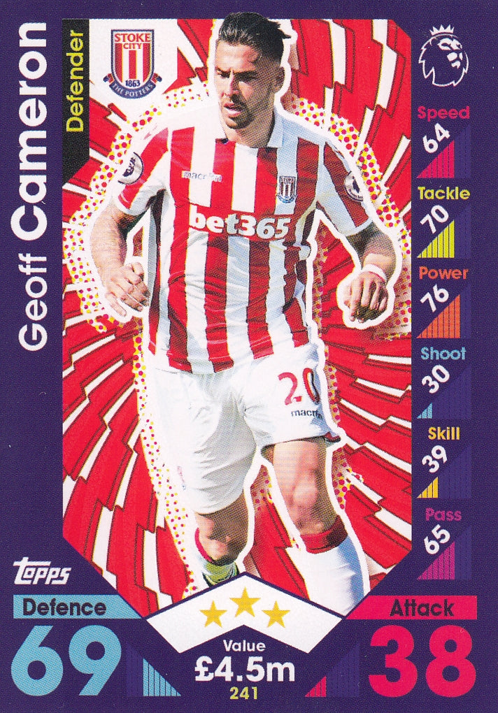 241. GEOFF CAMERON - STOKE CITY