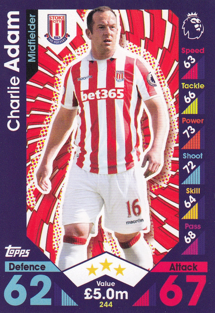 244. CHARLIE ADAM - STOKE CITY