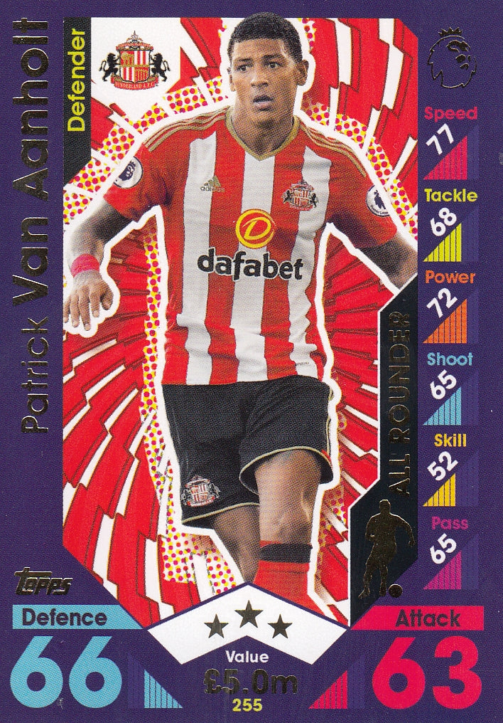 255. PATRICK VAN AANHOLT - SUNDERLAND