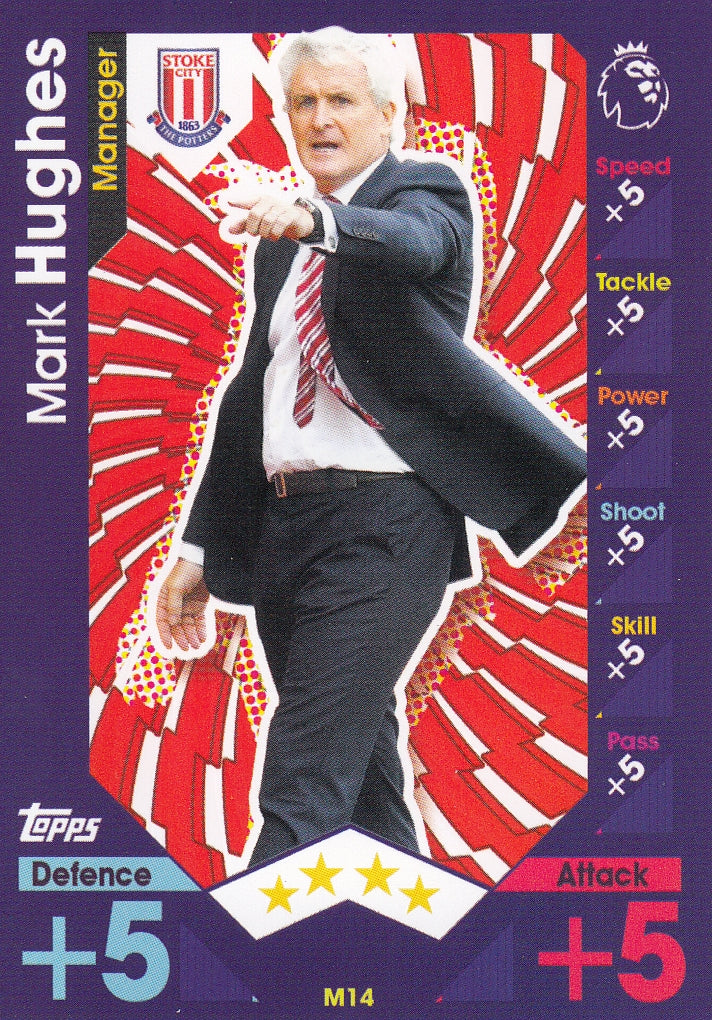 M-14. MARK HUGHES - STOKE CITY - MANAGER