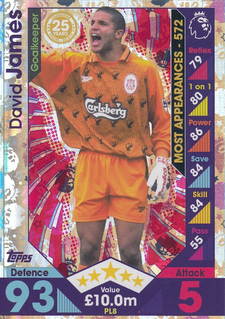 PL-08. DAVID JAMES - LIVERPOOL - CELEBRATING 25 YEARS