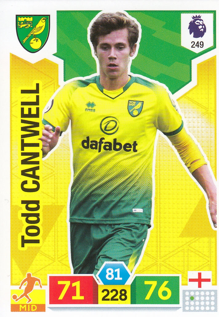249. TODD CANTWELL - NORWICH CITY