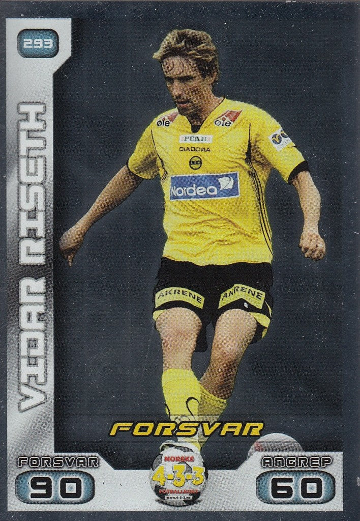 293. VIDAR RISETH - DREAM TEAM