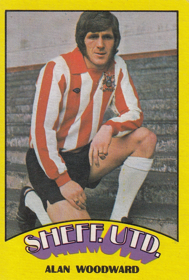 021. Alan Woodward - Sheffield United