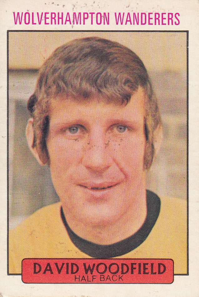 211. David Woodfield - Wolverhampton Wanderers