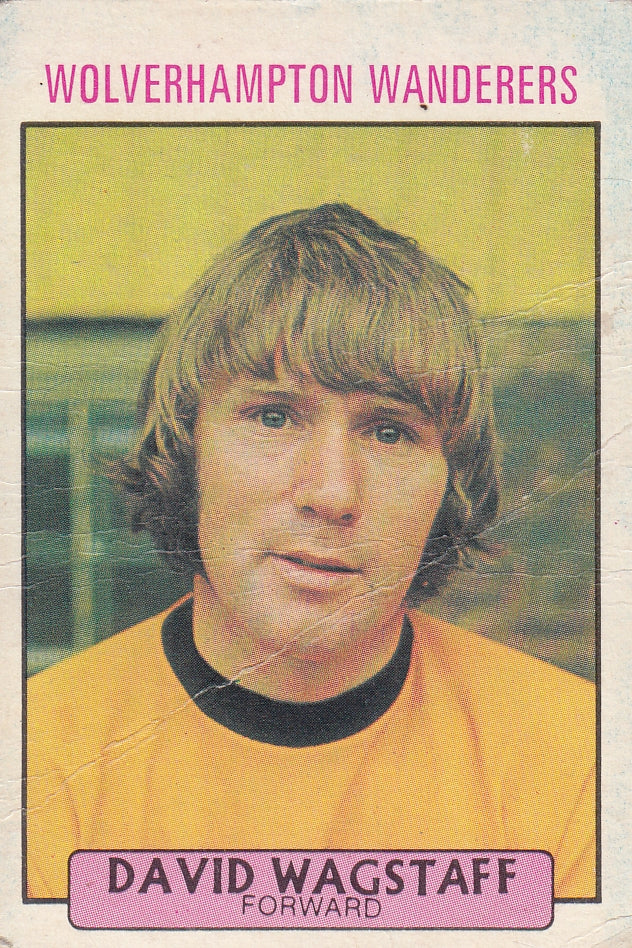 193. DAVID WAGSTAFF - WOLVERHAMPTON