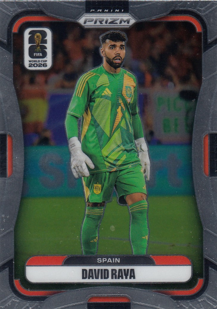 082. DAVID RAYA - SPAIN - WORLD CUP WINNER
