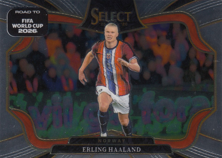 218. ERLING HAALAND - NORWAY - FIELD LEVEL