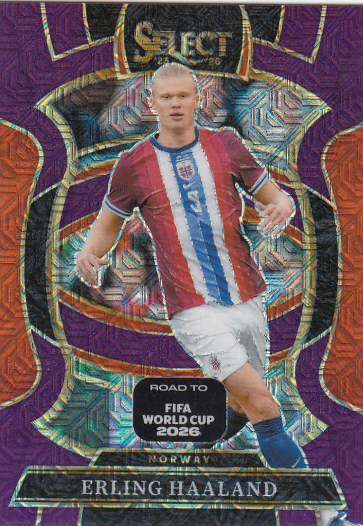 009. ERLING HAALAND - NORWAY - TERRACE - PURPLE MOJO