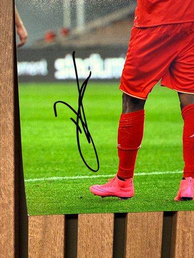 DIVOCK ORIGI - SIGNERT BILDE MED EKTEHETSBEVIS/COA