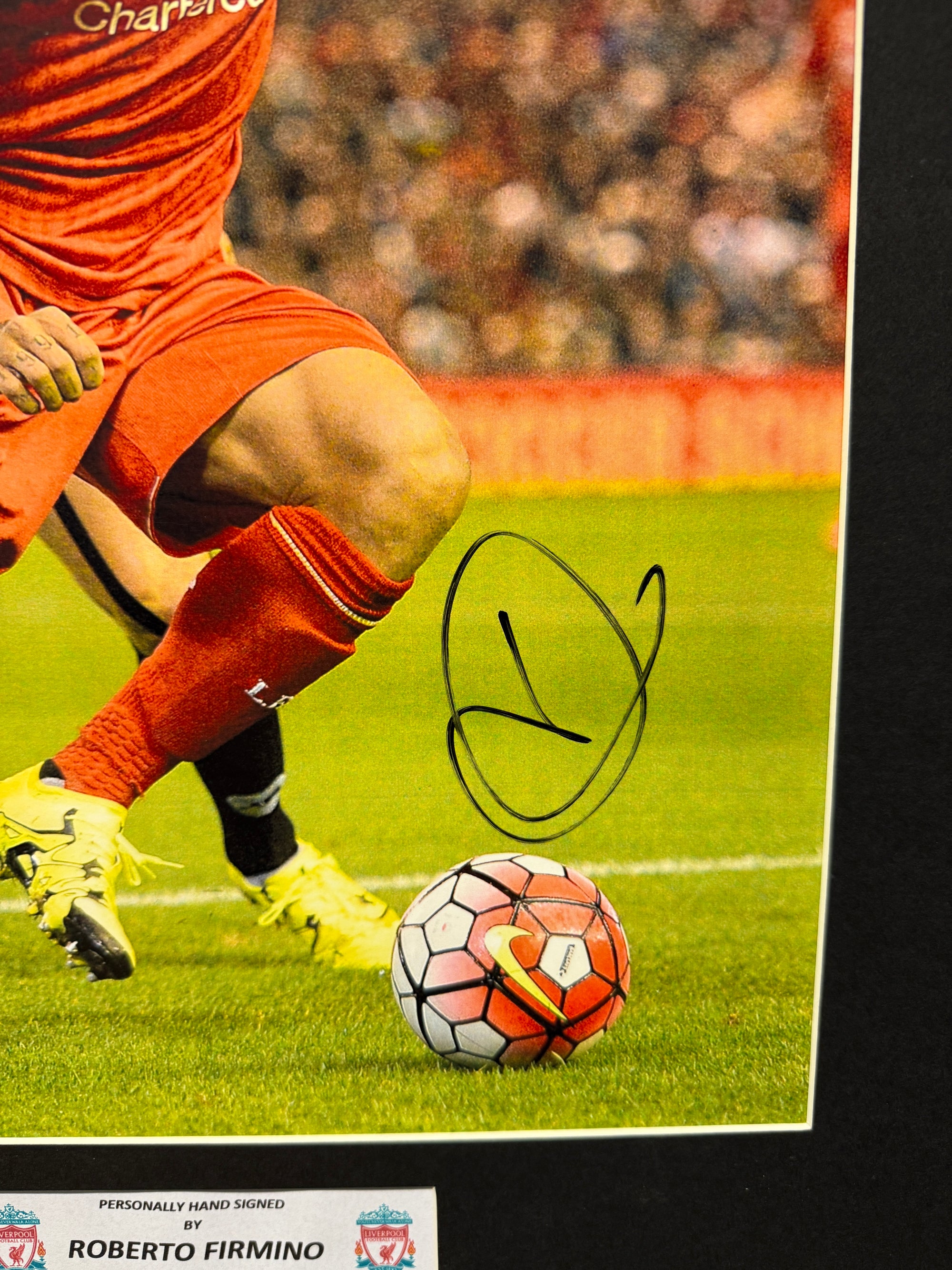 ROBERTO FIRMINO - SIGNERT BILDE MED EKTEHETSBEVIS/COA