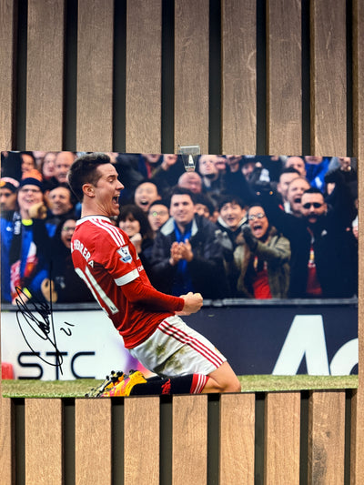 MANCHESTER UNITED - ANDER HERRERA - SIGNERT BILDE MED EKTEHETSBEVIS/COA